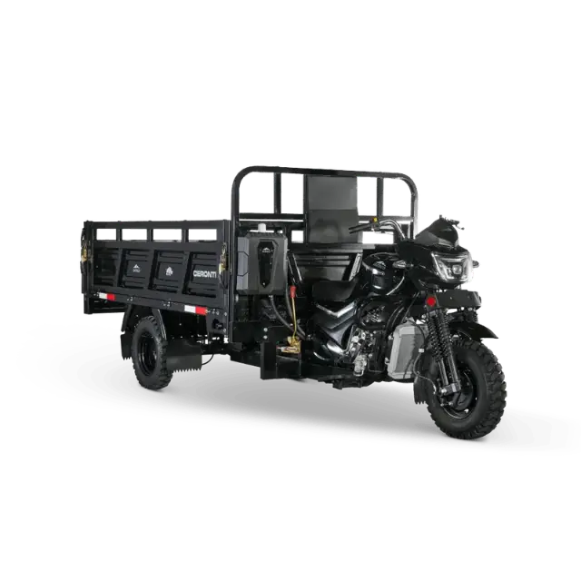 Motocarro Ceronte Tricargo 300
